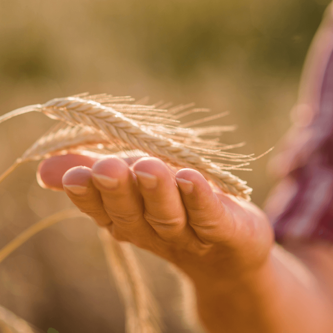 Quiz: "Da komm´ ich her!" – Regional genießen! Challenge-Banner